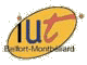 Logo IUT